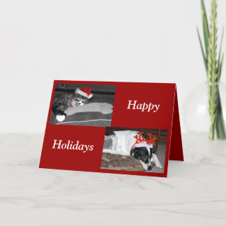 Cartes Pour Fêtes Annuelles chiens et chats