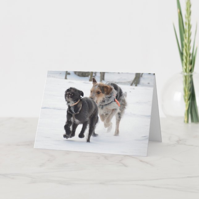 Cartes Pour Fêtes Annuelles Chiens jouant dans la neige Noël (Devant)
