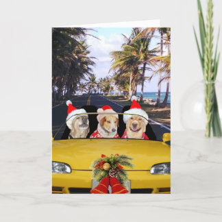 Cartes Pour Fêtes Annuelles Chiens/laboratoires en convertible avec chapeaux d