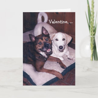 Cartes Pour Fêtes Annuelles Chiens mignons personnalisables Valentine
