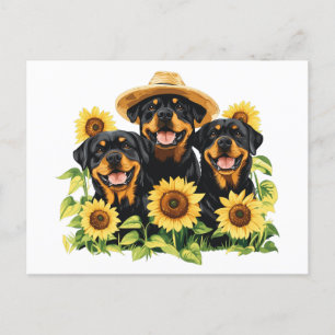 Cartes Pour Fêtes Annuelles Chiens Rottweiler Entourés De Tournesols