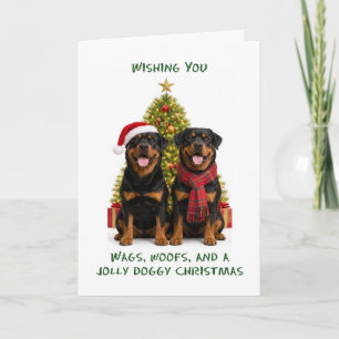 Cartes Pour Fêtes Annuelles Chiens Rottweiler Noël