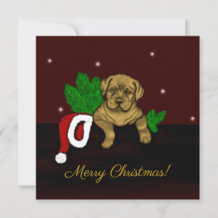 Cartes Pour Fêtes Annuelles Chiffre XMas