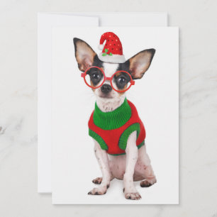 Cartes Pour Fêtes Annuelles Chihuahua avec chapeau de Père Noël et lunettes
