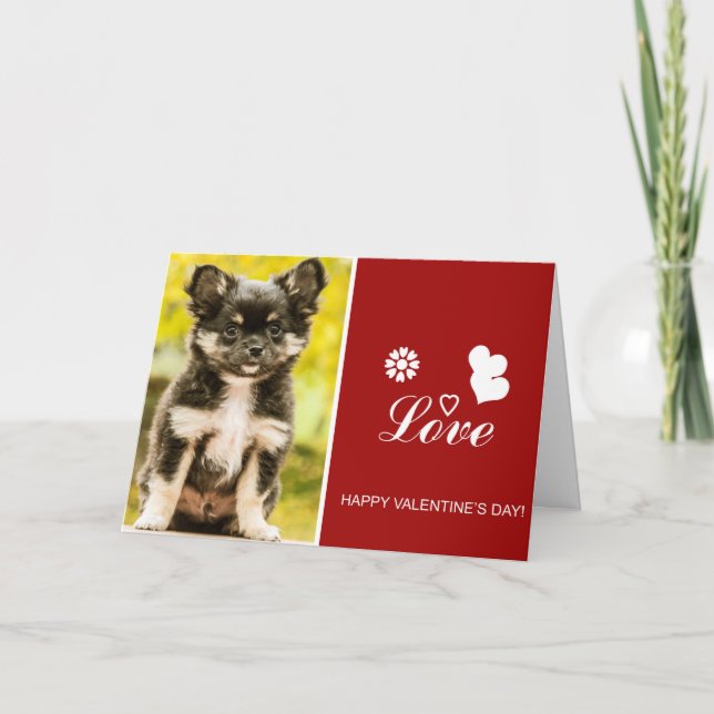 Cartes Pour Fêtes Annuelles Chihuahua Chien Chien Chien Chien Heureuse Sainte- (Devant)