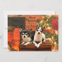 Chihuahua Holiday Greeting Card