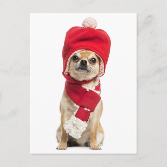 Cartes Pour Fêtes Annuelles Chihuahua Portant Le Casquette De Noël Et L'Écharp (Devant)