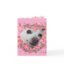 Chihuahua Valentine's Day Folded Holiday Card