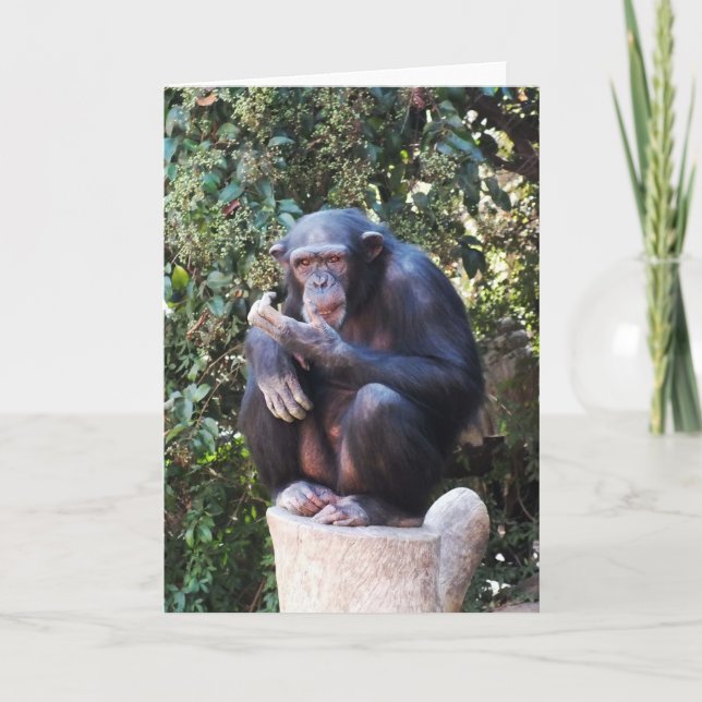 Cartes Pour Fêtes Annuelles Chimpanzé (Devant)