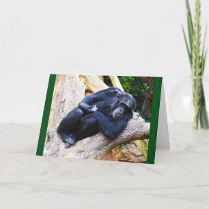 Cartes Pour Fêtes Annuelles Chimpanzé au repos