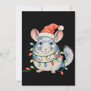 Cartes Pour Fêtes Annuelles Chinchilla Chapeau de Père Noël Noël Xmas Lumières