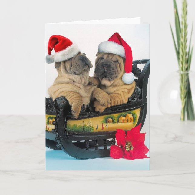 Cartes Pour Fêtes Annuelles Chinois Shar pei avec casquettes x-mas (Devant)