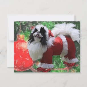 Cartes Pour Fêtes Annuelles Chinxmas