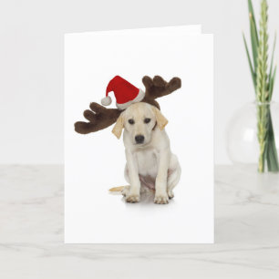 Cartes Pour Fêtes Annuelles Chiot avec chapeau de Père Noël et oreilles de ren