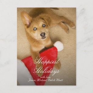 Cartes Pour Fêtes Annuelles Chiot avec le casquette du père noël