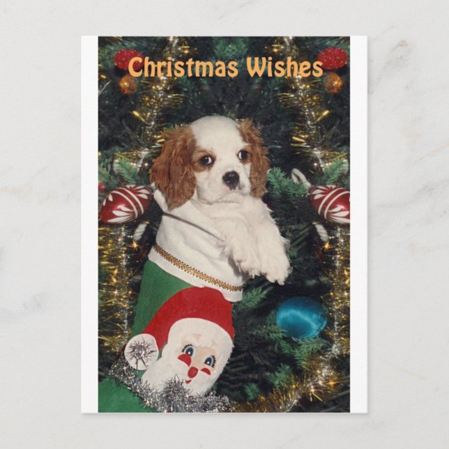 Cartes Pour Fêtes Annuelles Chiot Cavalier En Prise De Noël (Devant)