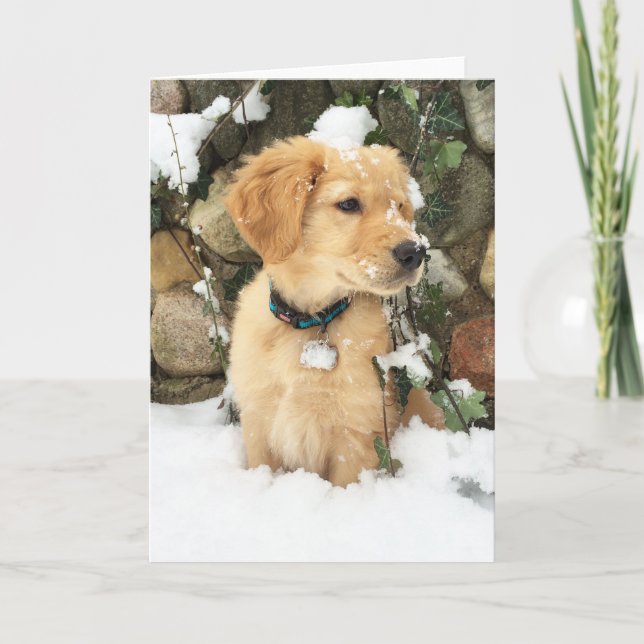 Cartes Pour Fêtes Annuelles chiot dans la neige | chiot doré (Devant)