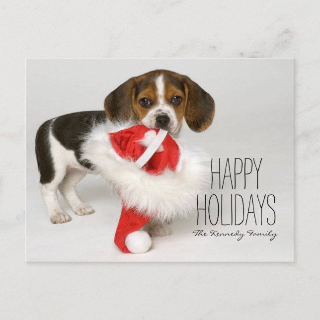 Cartes Pour Fêtes Annuelles Chiot de beagle (Devant)