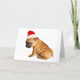 Cartes Pour Fêtes Annuelles Chiot de bouledogue français utilisant un