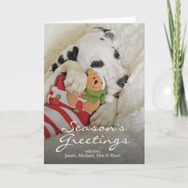 Cartes Pour Fêtes Annuelles Chiot de Dalmation avec le bas de Noël (Devant)