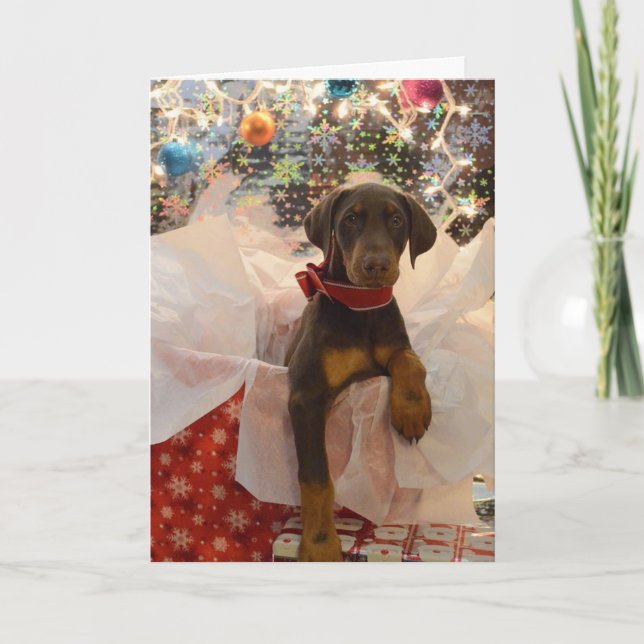 Cartes Pour Fêtes Annuelles Chiot de Dobie de Joyeux Noël (Devant)