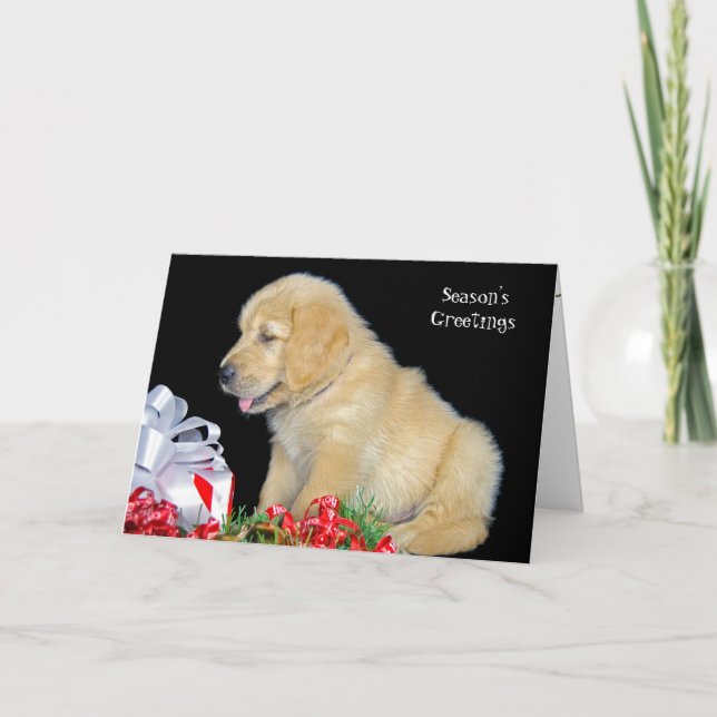 Cartes Pour Fêtes Annuelles Chiot de golden retriever de vacances (Devant)