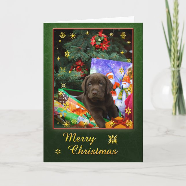 Cartes Pour Fêtes Annuelles Chiot de Labrador dans l'humeur de Noël (Devant)