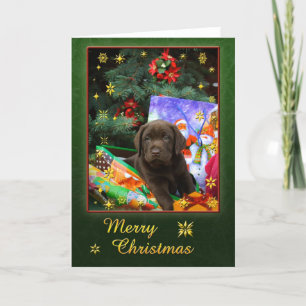 Cartes Pour Fêtes Annuelles Chiot de Labrador dans l'humeur de Noël