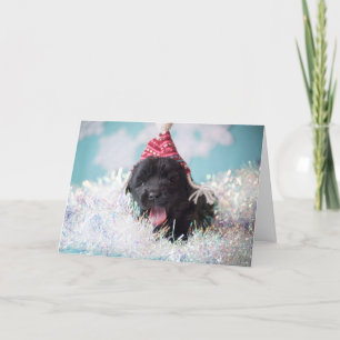 Cartes Pour Fêtes Annuelles Chiot de Newfie de Joyeuses Fêtes
