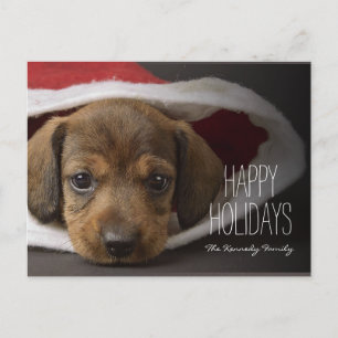 Cartes Pour Fêtes Annuelles Chiot de Noël