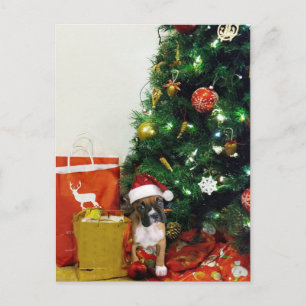 Cartes Pour Fêtes Annuelles chiot de Noël