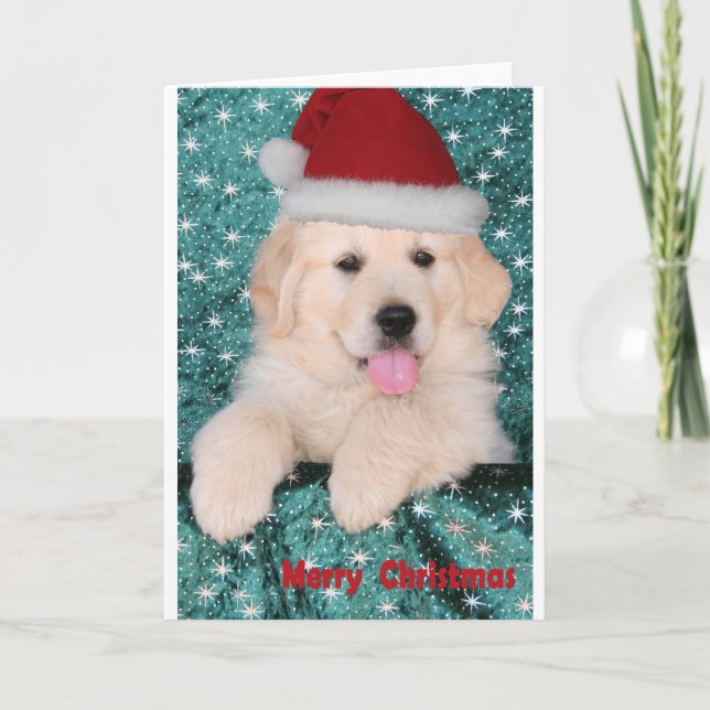 Cartes Pour Fêtes Annuelles Chiot de Noël de golden retriever (Devant)