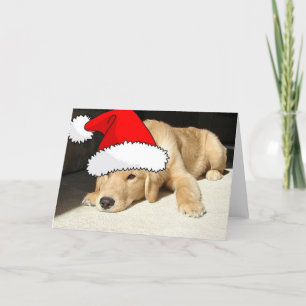 Cartes Pour Fêtes Annuelles Chiot de Noël de l'équipe d'or