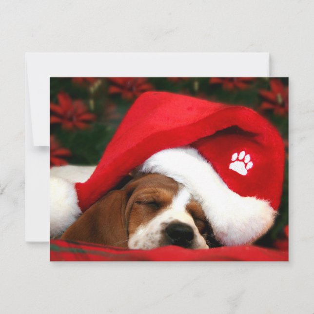 Cartes Pour Fêtes Annuelles Chiot de Noël endormi (Devant)
