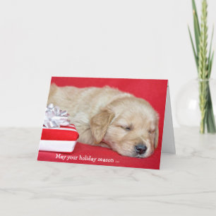 Cartes Pour Fêtes Annuelles Chiot de Noël Golden Retriever