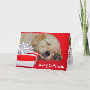 Cartes Pour Fêtes Annuelles Chiot de Noël Golden Retriever