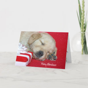 Cartes Pour Fêtes Annuelles Chiot de Noël Golden Retriever