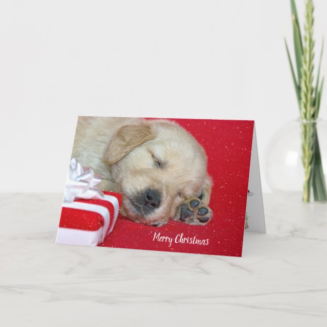 Cartes Pour Fêtes Annuelles Chiot de Noël Golden Retriever (Devant)