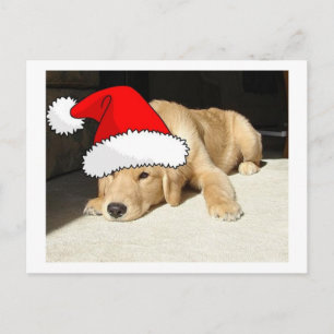 Cartes Pour Fêtes Annuelles Chiot de Noël Golden Retriever
