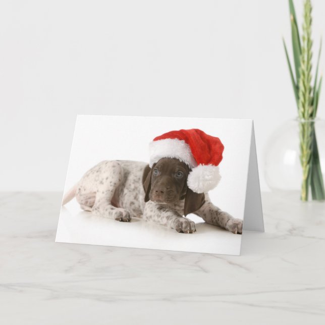 Cartes Pour Fêtes Annuelles Chiot de Noël - indicateur aux cheveux courts (Devant)