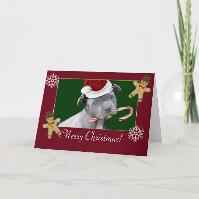 Cartes Pour Fêtes Annuelles Chiot de Noël Pitbull (Devant)