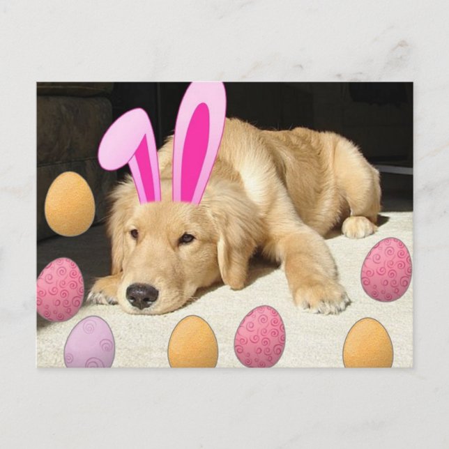 Cartes Pour Fêtes Annuelles Chiot de Pâques Golden Retriever (Devant)