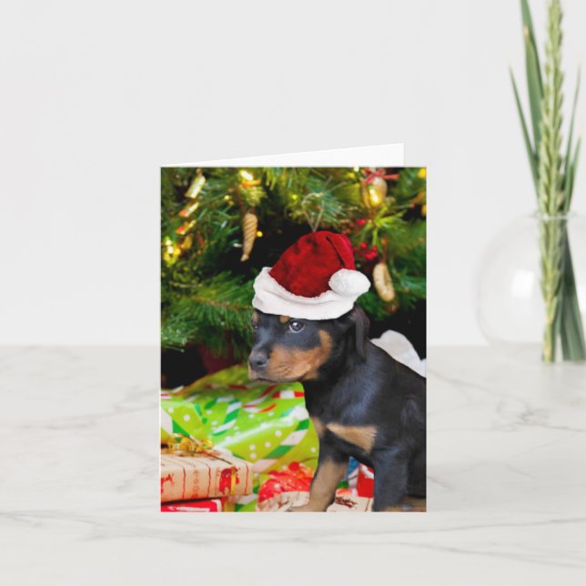 Cartes Pour Fêtes Annuelles Chiot de rottweiler de Noël (Devant)