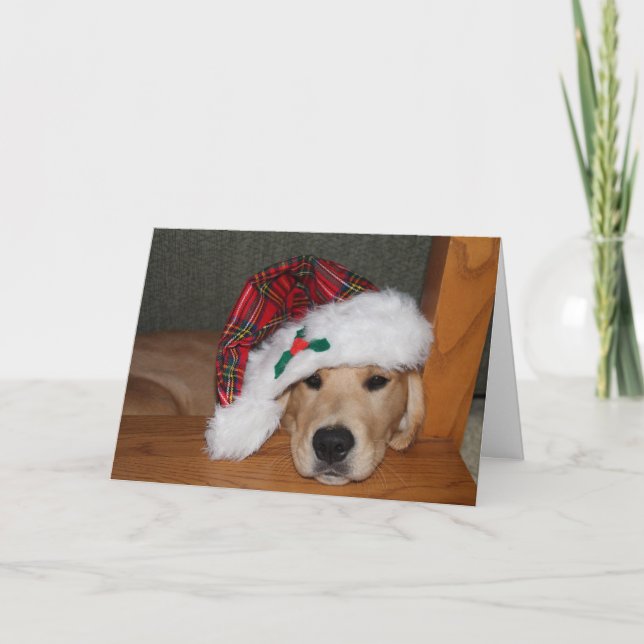 Cartes Pour Fêtes Annuelles Chiot d'or de Noël dans le casquette (Devant)