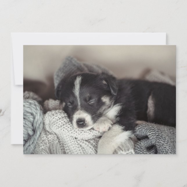 Cartes Pour Fêtes Annuelles Chiot dormant à plat (Devant)