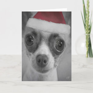 Cartes Pour Fêtes Annuelles Chiot drôle de chiwawa de Noël avec le casquette