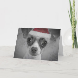 Cartes Pour Fêtes Annuelles Chiot drôle de chiwawa de Noël avec le casquette