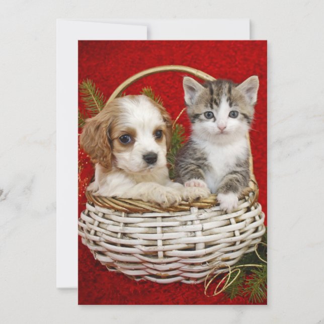 Cartes Pour Fêtes Annuelles Chiot et chaton de Noël dans le panier ensemble (Devant)
