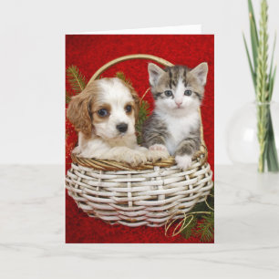 Cartes Pour Fêtes Annuelles Chiot et chaton de Noël dans le panier ensemble