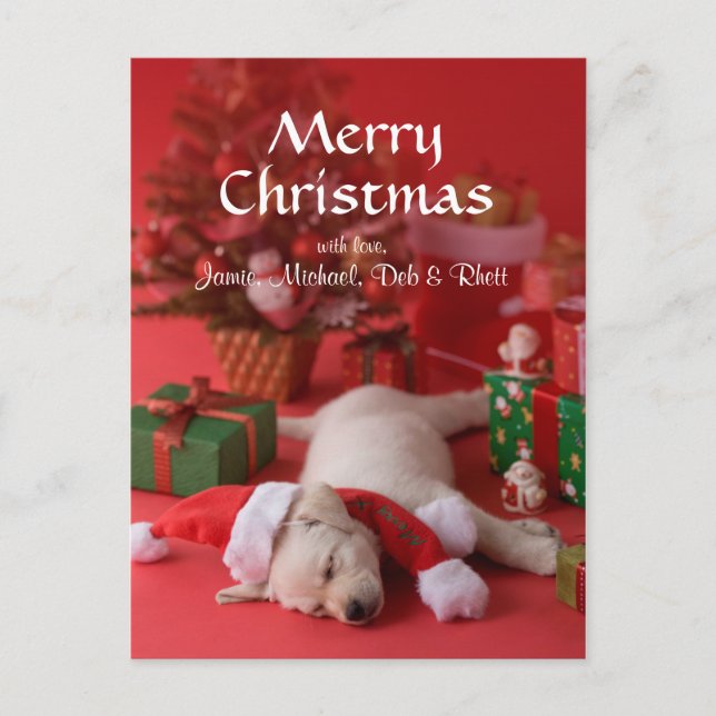 Cartes Pour Fêtes Annuelles Chiot et Noël 2 de golden retriever (Devant)